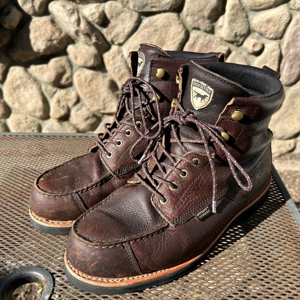Irish Setter Wingshooter